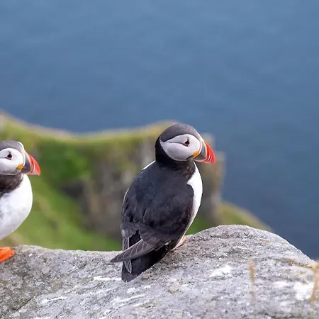 公寓式酒店 Miljosenter & Opplev