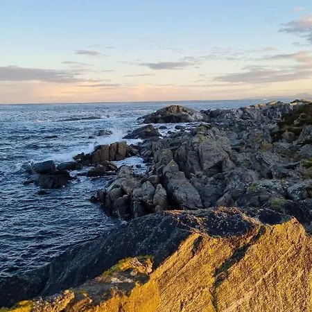 Miljosenter & Opplev 3*