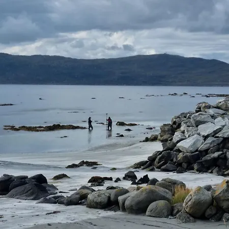 Miljosenter & Opplev 3*