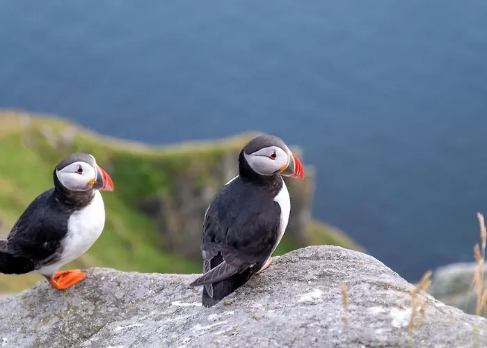 Apartahotel Miljosenter & Opplev