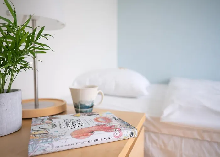 Miljosenter & Opplev Runde