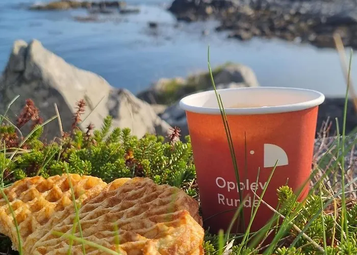 Miljosenter & Opplev Апарт-отель